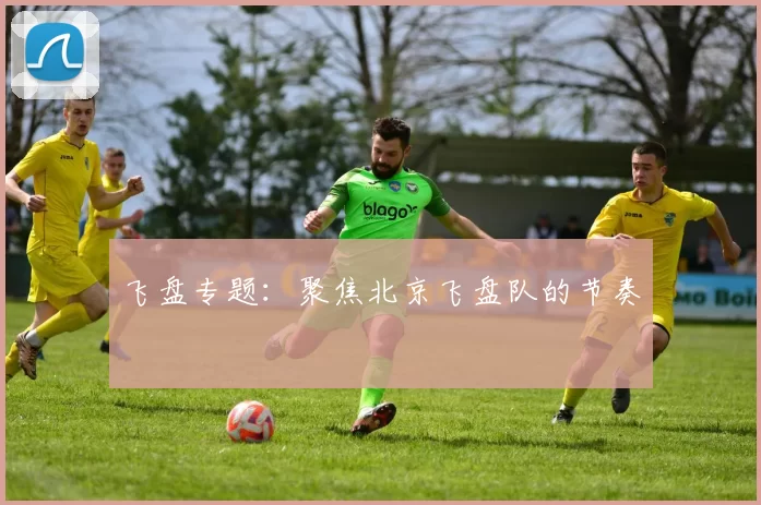 飞盘专题：聚焦北京飞盘队的节奏